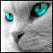 Lumina's profile picture