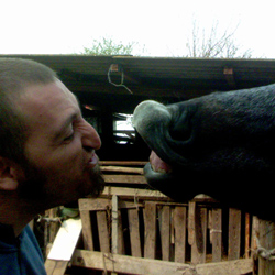 MaxSegu's profile picture