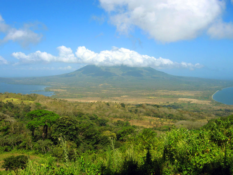 newdesigner's profile picture