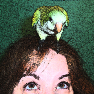 birdbluff's profile picture