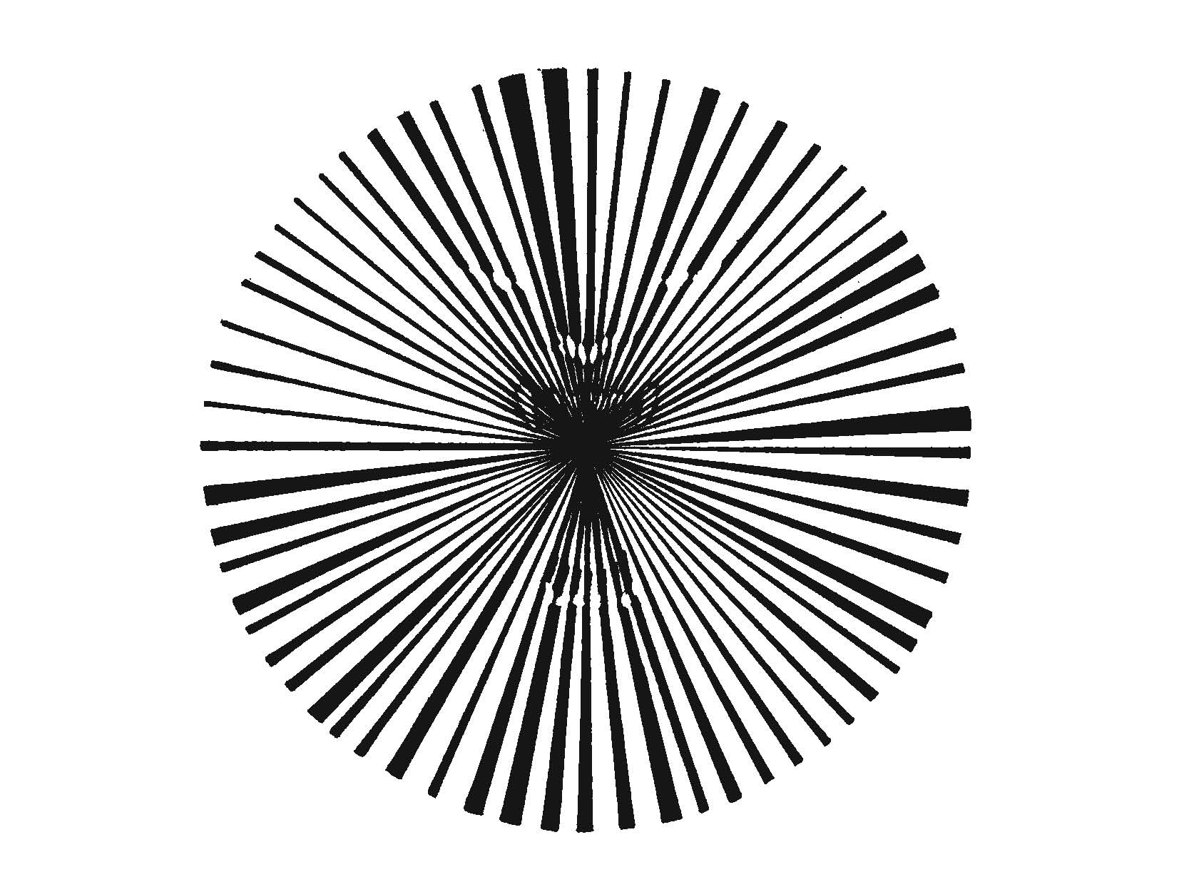 Dandelion Design's profile picture