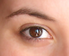 Limited Edition's profile picture