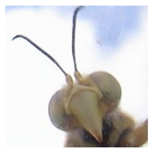 traveller5000's profile picture