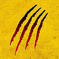 Transform99's profile picture