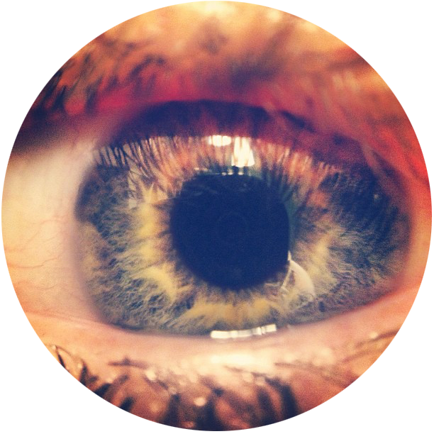 maghsz's profile picture