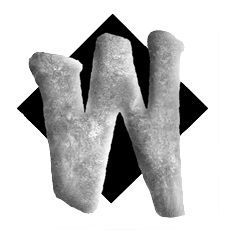 WilsonAD's profile picture
