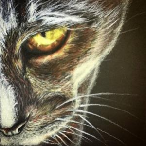 Marlena's profile picture