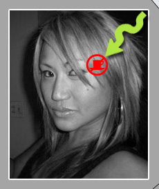 {Senorita MousePusher}'s profile picture