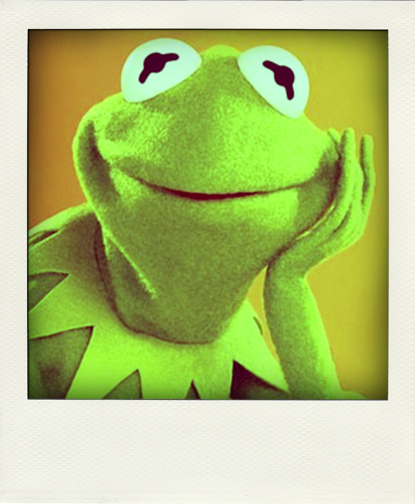 kermit's profile picture