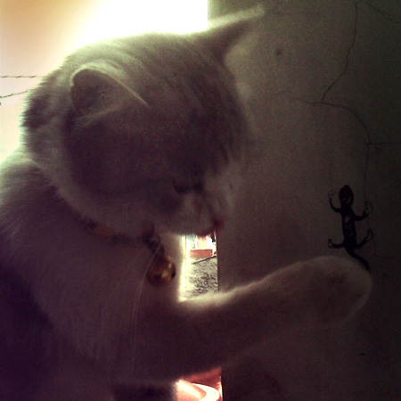 visavia's profile picture