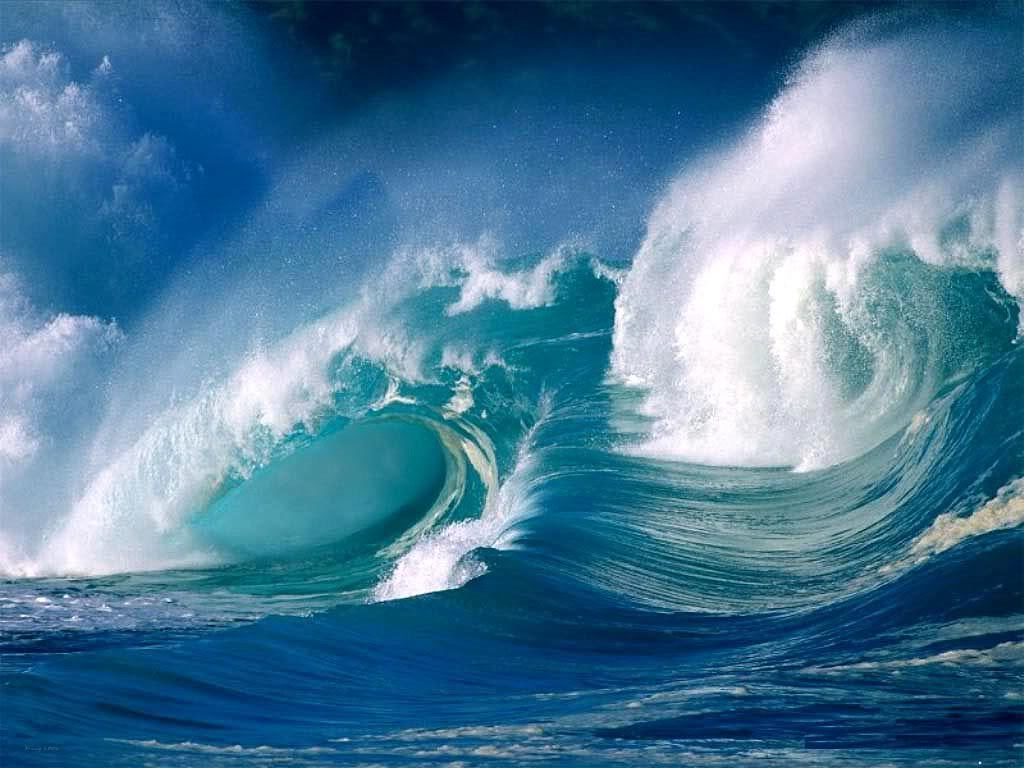 Ocean's profile picture