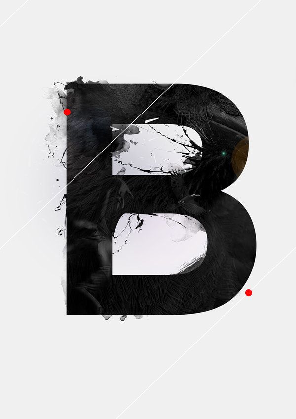 brunocastropereira's profile picture