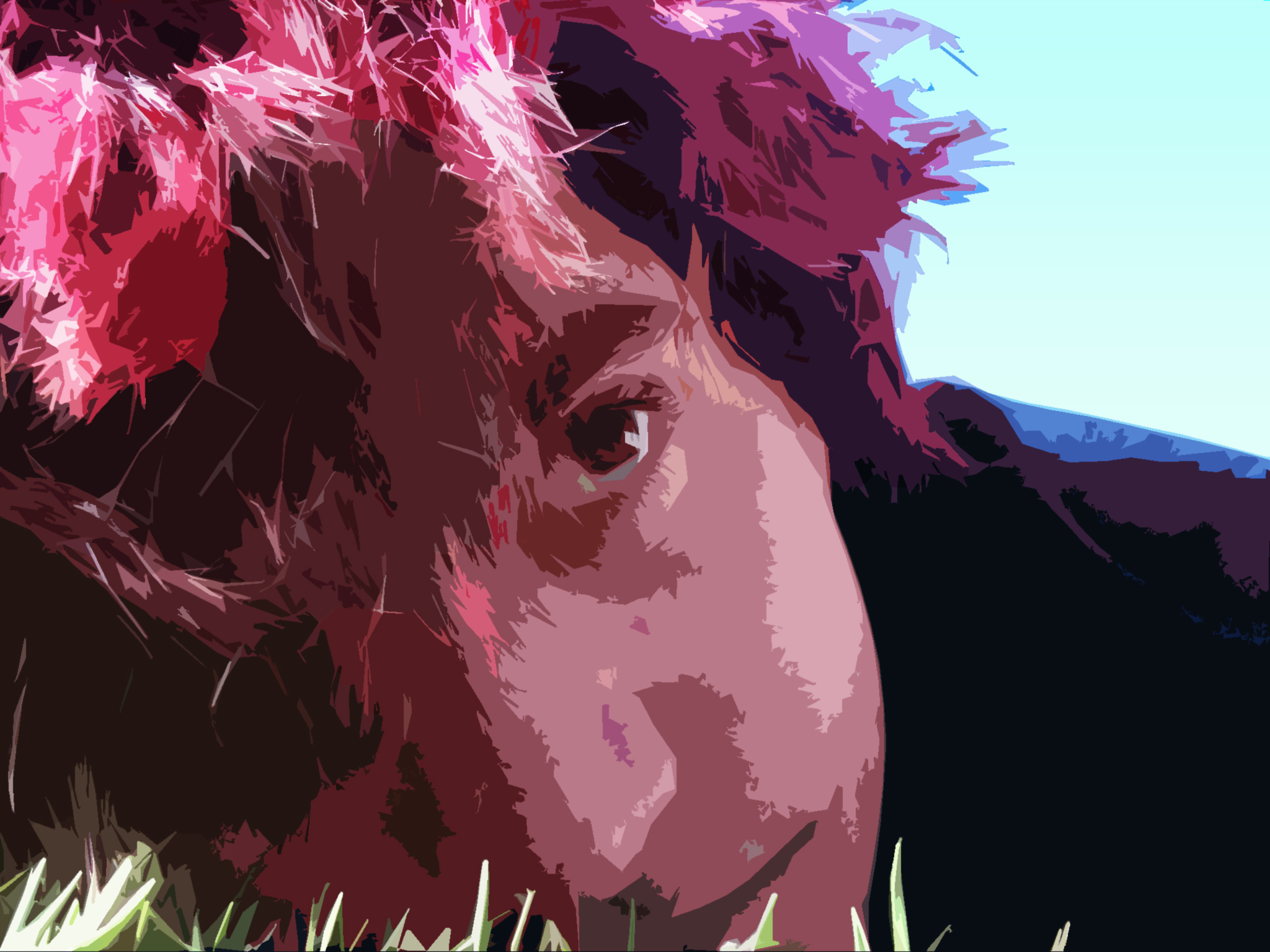 iBen's profile picture