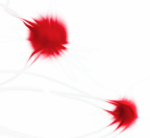 Silli's profile picture