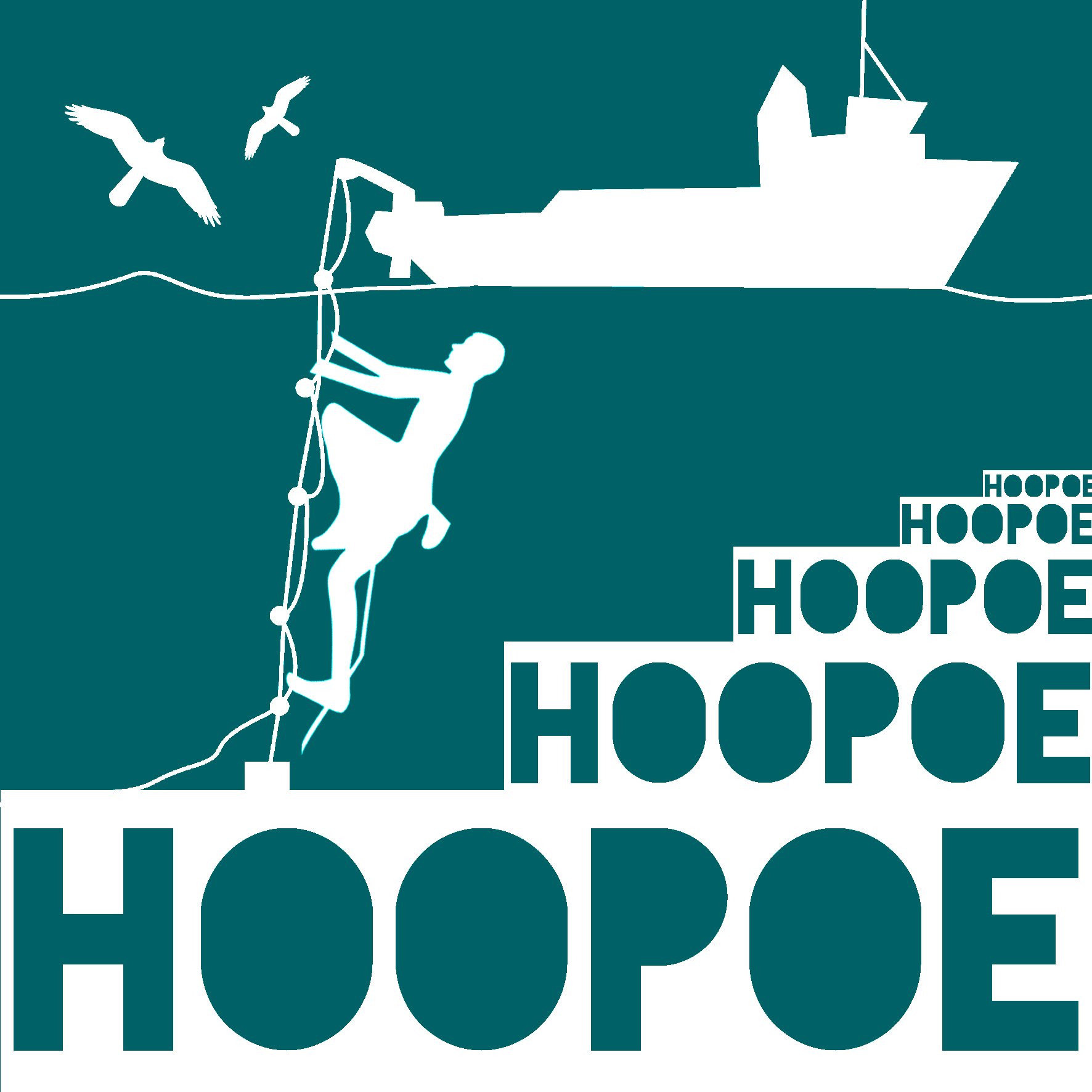 Hoopoe's profile picture