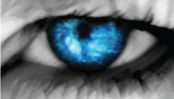 blugray creative's profile picture