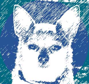 babawich's profile picture