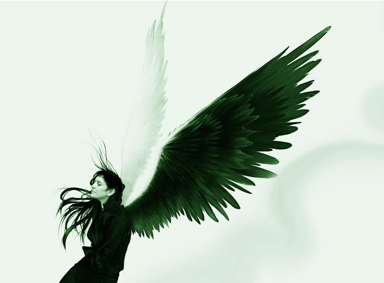 angidraco's profile picture