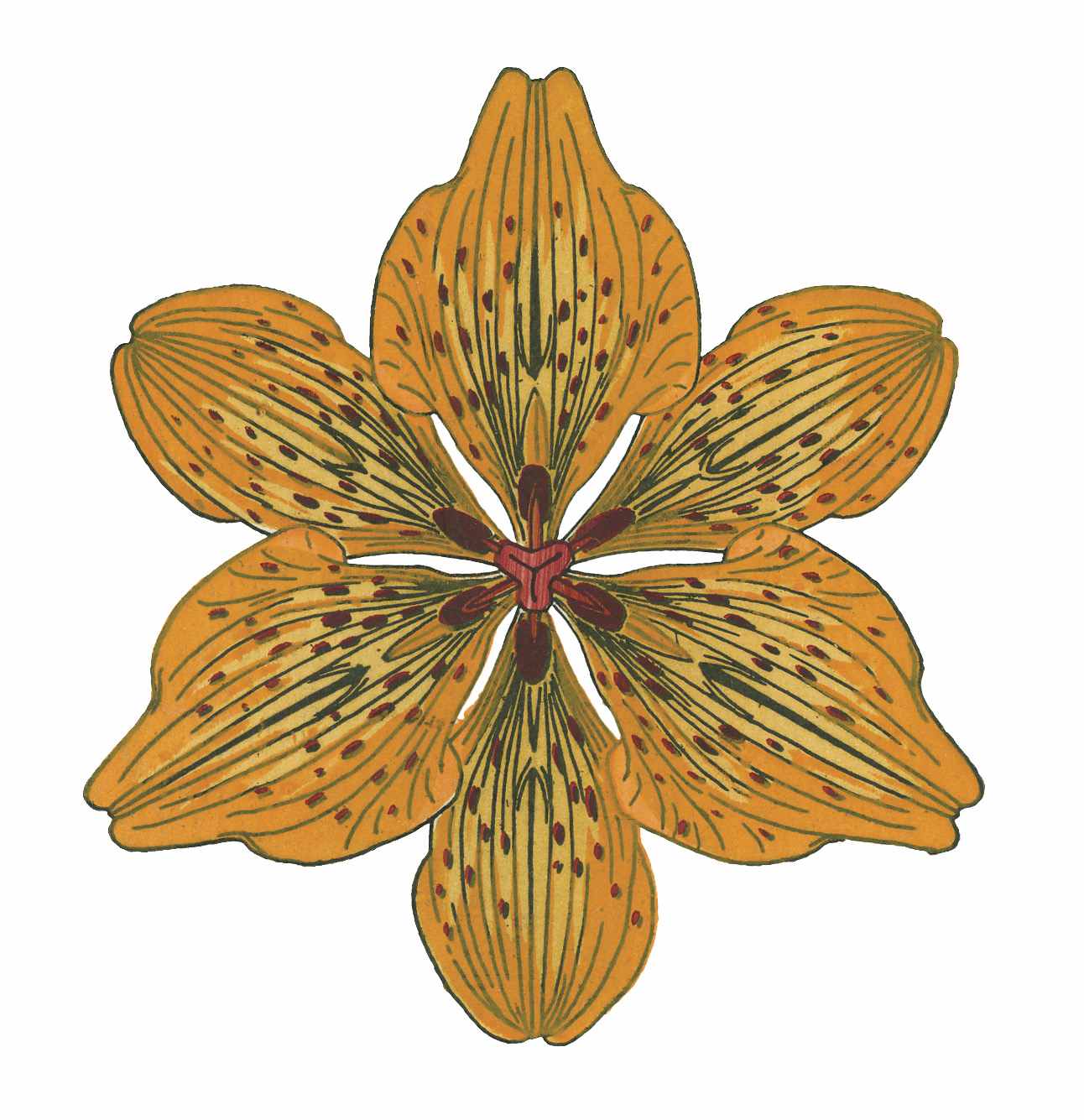 STUDIO 27's profile picture