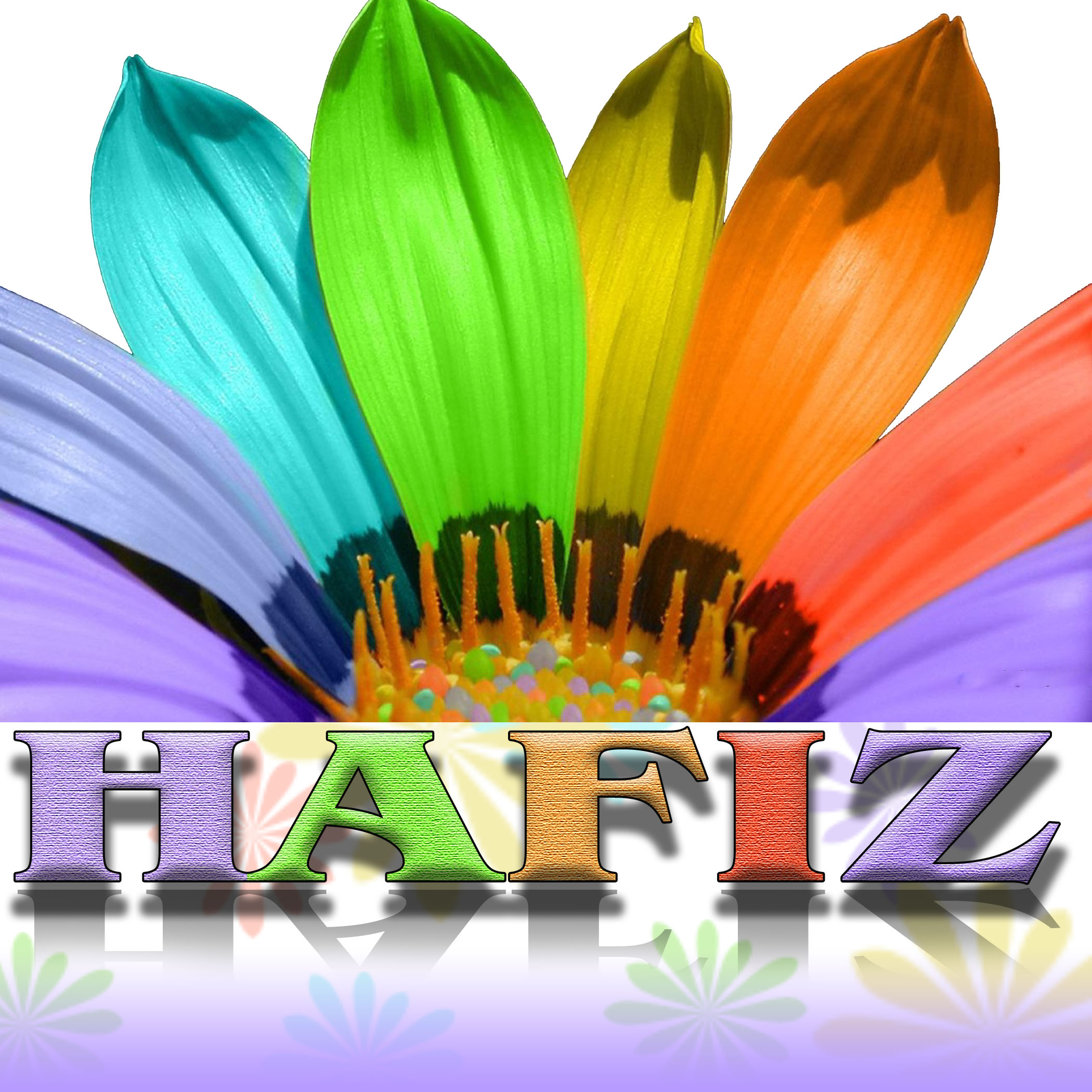 hafiz's profile picture