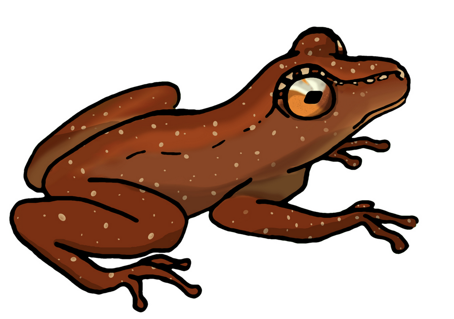 Lou's profile picture