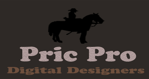 PricPro's profile picture