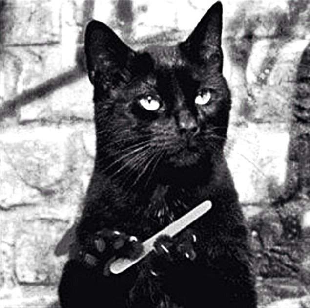 ashleighmitchell's profile picture