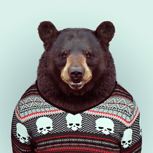 Miguel Pamplona's profile picture