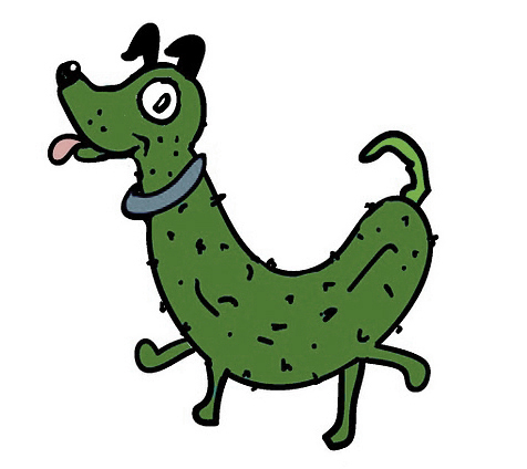 pickledog studio's profile picture