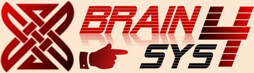 brain4sys's profile picture