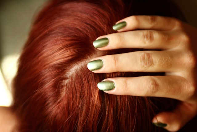 surfinbird's profile picture