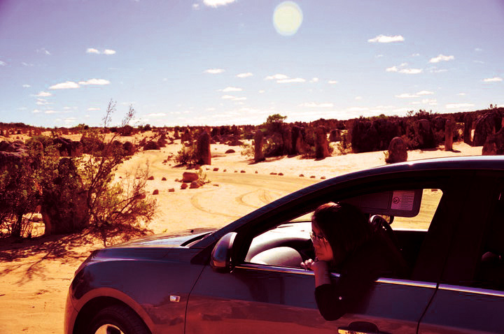 WB Cheang's profile picture