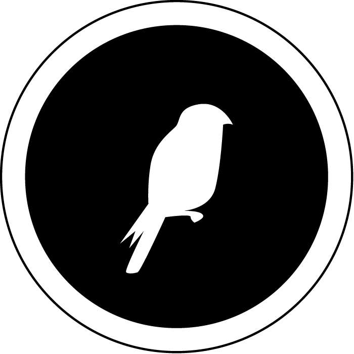 Birdi Design's profile picture
