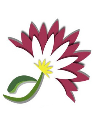 mimosa creations's profile picture