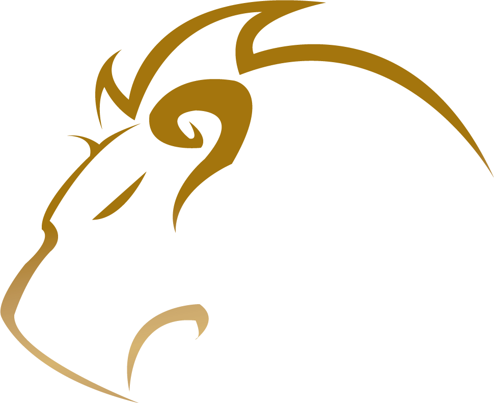 Chimera Studio's profile picture