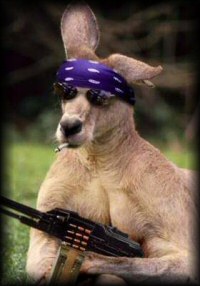 JonySoft Visual Design's profile picture