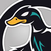 Blackmallard's profile picture