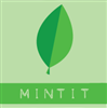 mintit design