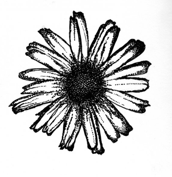 Marguerite Simone's profile picture