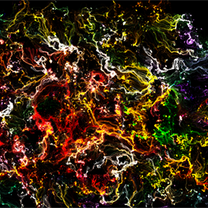 hansoolo's profile picture