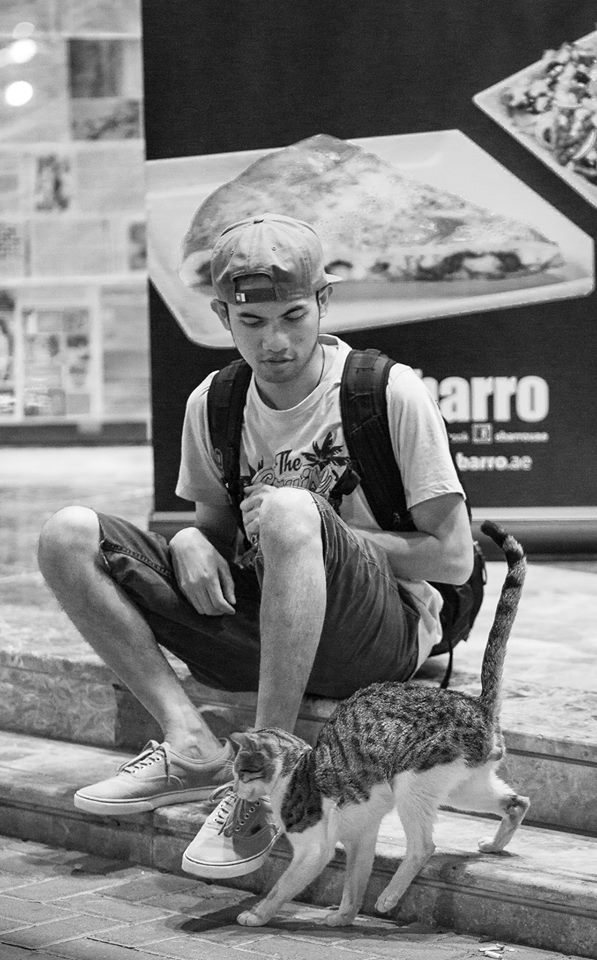 elmoactivo's profile picture