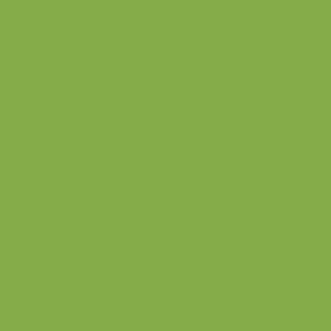 green's profile picture