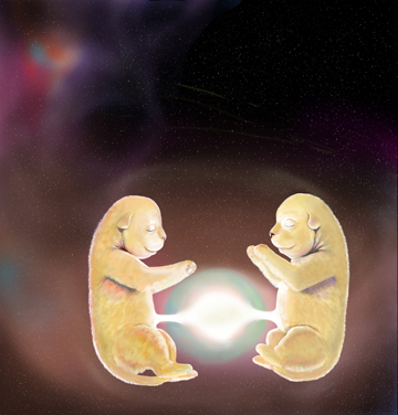 Kindled's profile picture