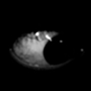 paranoidelusion's profile picture