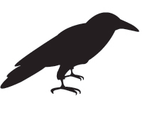 Blackcrow Creative's profile picture