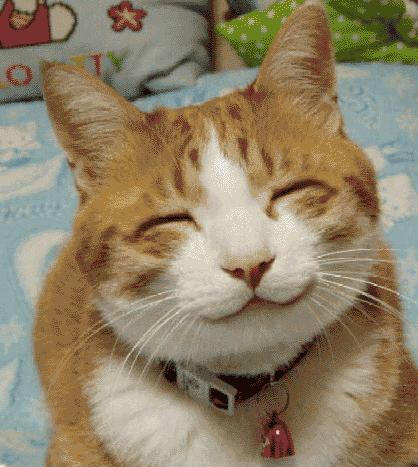 My Own Autopsy Report's profile picture