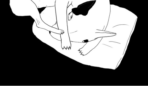 misspony's profile picture