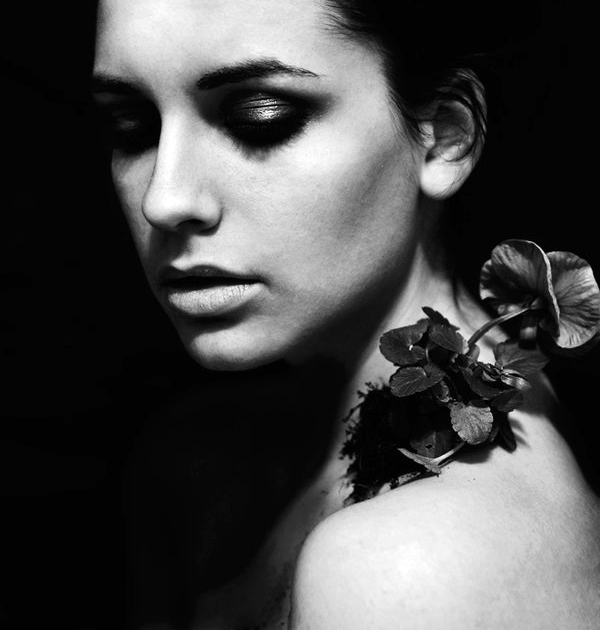 anzlo's profile picture