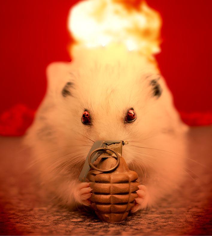 janvukelic's profile picture