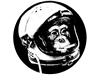 Spacemonkeys